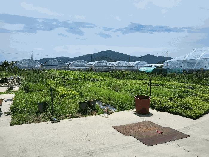 법원경매 2025타경376 사진6 | 김천시 봉산면 신리 239-6 전답 경매