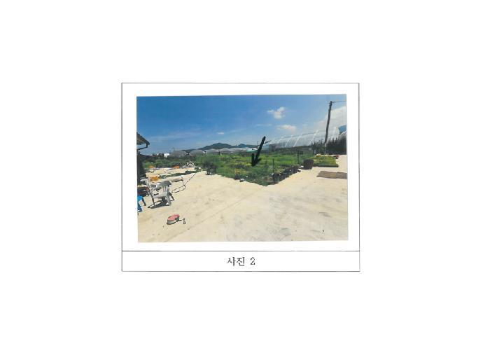 법원경매 2025타경376 사진8 | 김천시 봉산면 신리 239-6 전답 경매