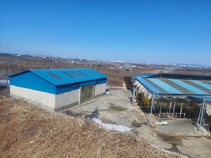 2025타경10385 법원경매 사진7 | 충남 아산시 축사(농가시설) 경매