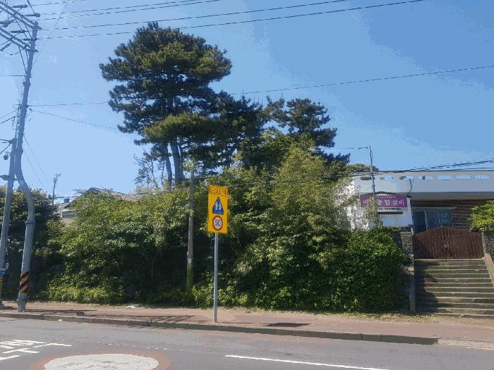 2025타경1146 법원경매 사진3 | 제주 서귀포시 과수원 경매