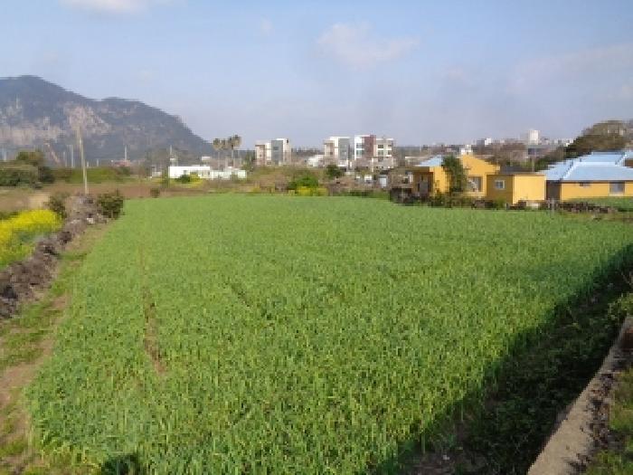 2025타경7751 법원경매 사진6 | 제주 서귀포시 전 경매