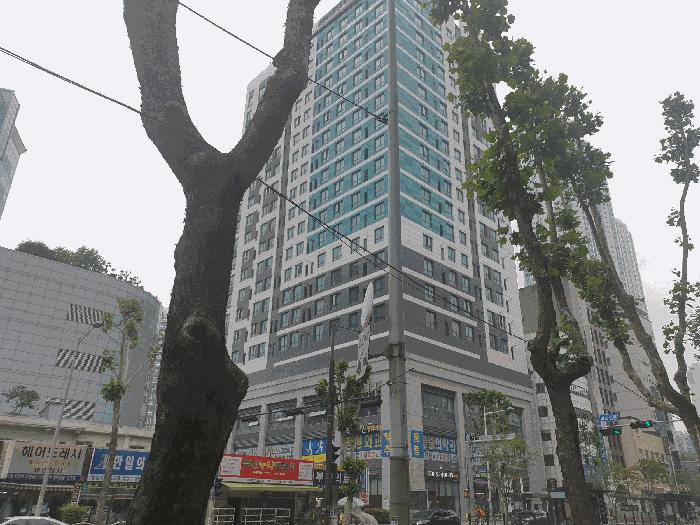 2025타경22070 법원경매 사진9 | 부산 부산진구 근린상가 경매