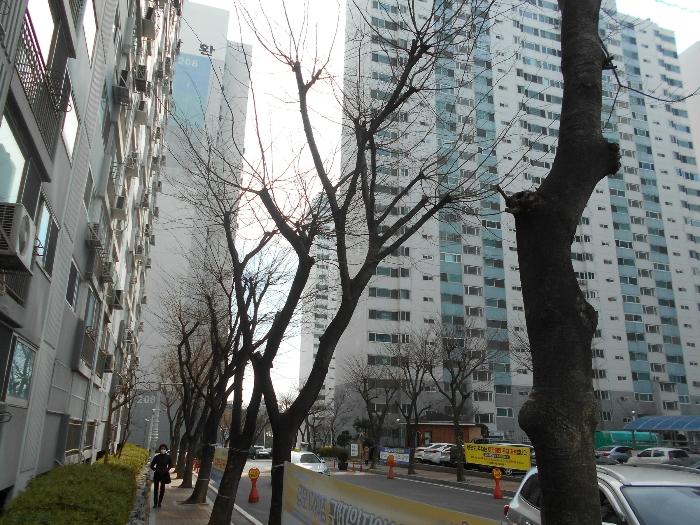 부산광역시 사하구 다대로429번길 20, 205동 20층2004호 (다대동,삼환아파트) · 지번주소: 부산광역시 사하구 다대동 120-10 법원경매 물건 대표사진