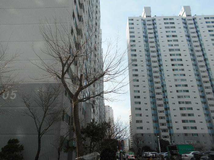 2022타경3289 법원경매 사진4 | 부산 사하구 아파트 경매
