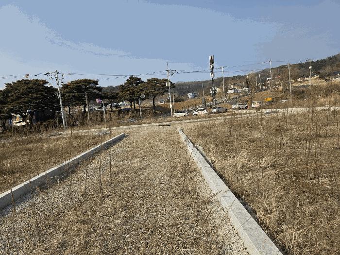 2026타경10043 법원경매 사진4 | 천안 동남구 답 경매