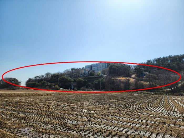 충청남도 태안군 안면읍 신야리 335-12 법원경매 물건 대표사진