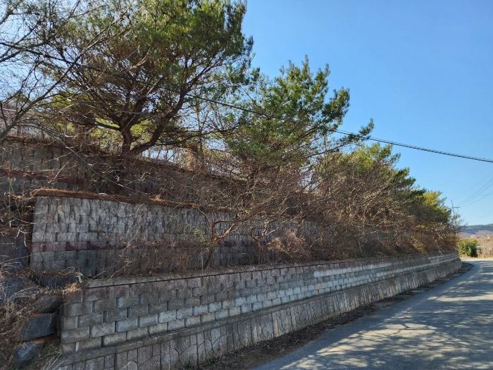 2024타경50887 법원경매 사진17 | 충남 태안군 교육시설 경매