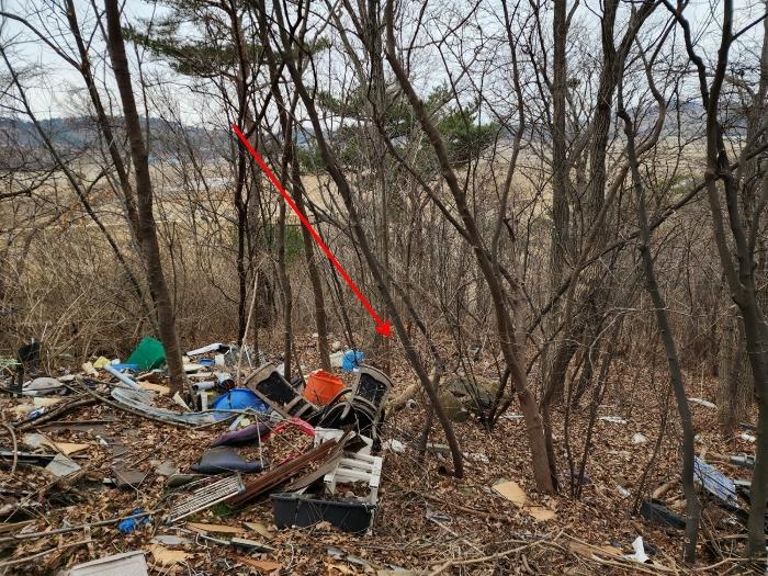 2024타경50887 법원경매 사진8 | 충남 태안군 교육시설 경매