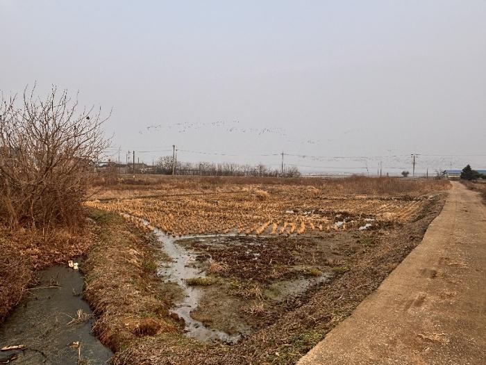 충청남도 당진시 우강면 창리 302-2 법원경매 물건 대표사진