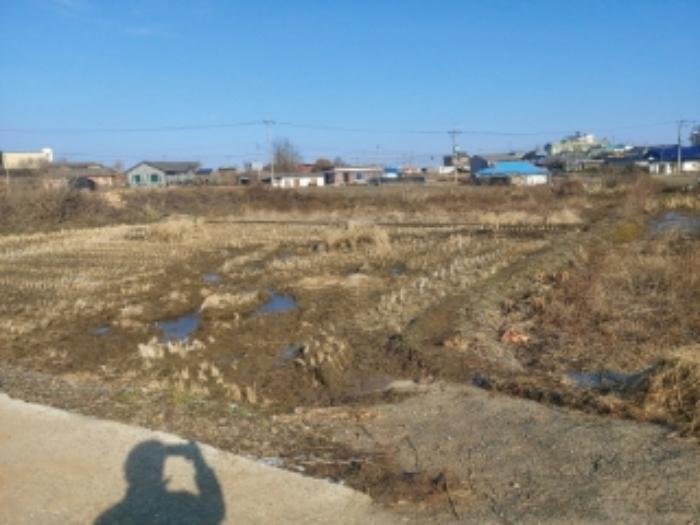 2024타경57352 법원경매 사진5 | 충남 당진시 답 경매