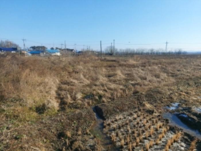 2024타경57352 법원경매 사진7 | 충남 당진시 답 경매