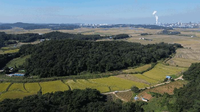 충청남도 당진시 송악읍 월곡리 380-6 법원경매 물건 대표사진