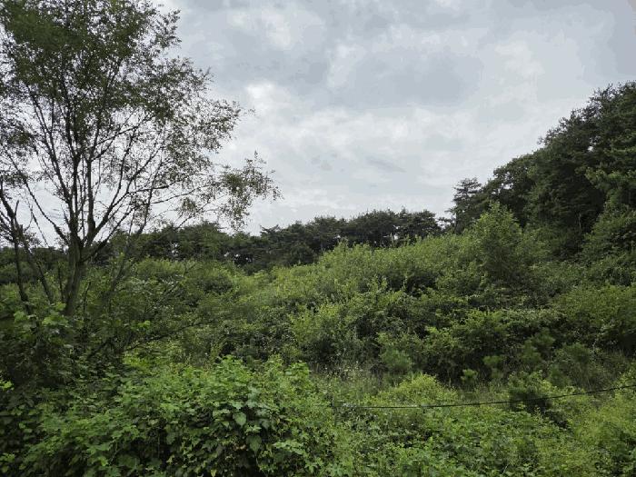 충청남도 당진시 송악읍 가교리 594-8 법원경매 물건 대표사진