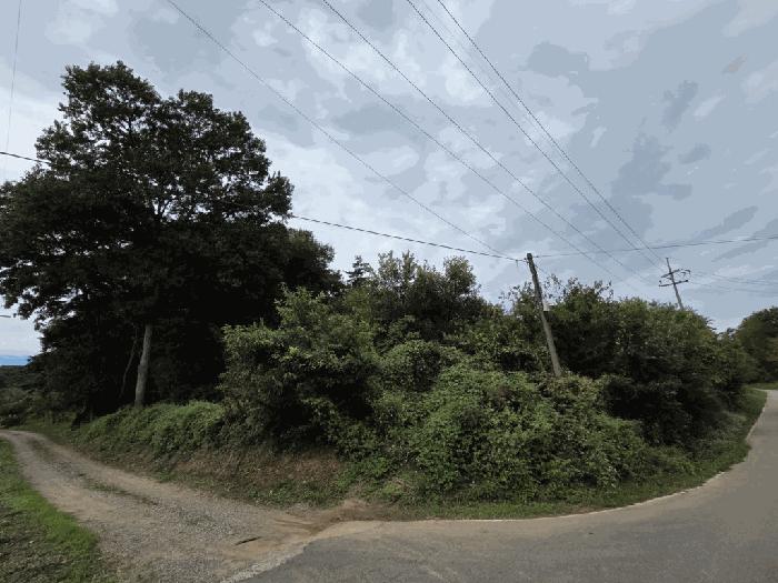 2025타경813 법원경매 사진3 | 충남 당진시 임야 경매