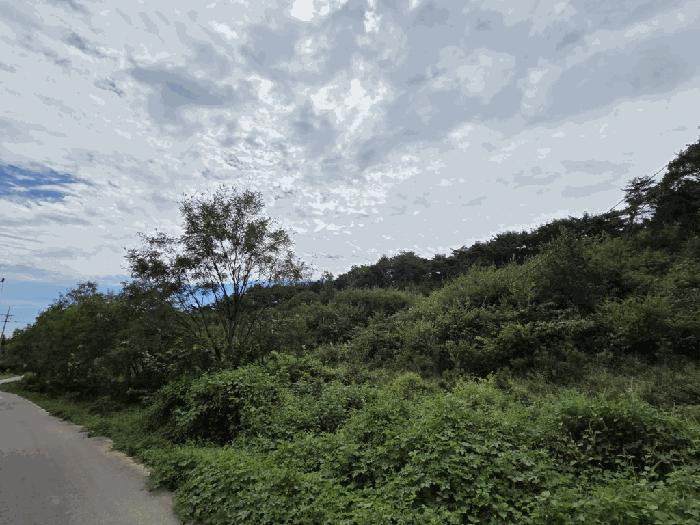 2025타경813 법원경매 사진4 | 충남 당진시 임야 경매