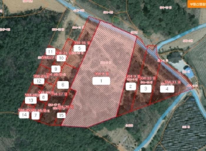 2025타경813 법원경매 사진8 | 충남 당진시 임야 경매