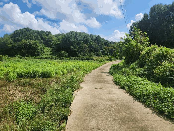 충남 당진시 송산면 상거리 58 답 사진 2