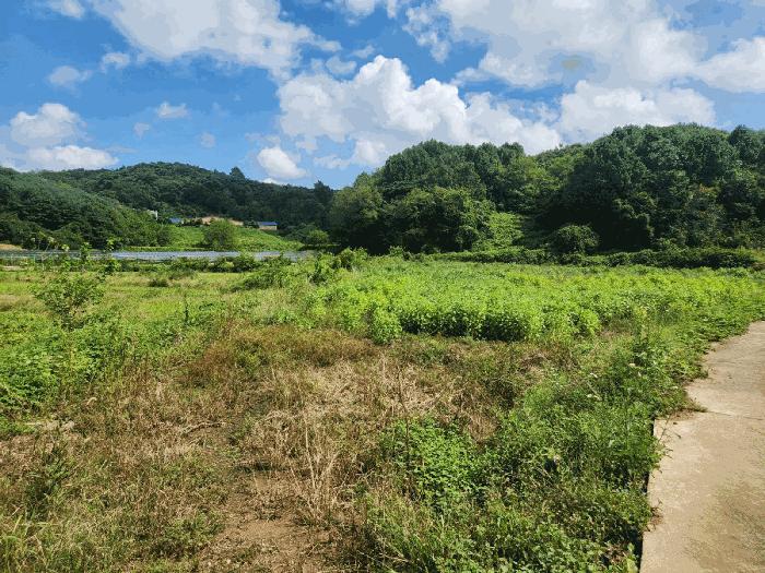 충남 당진시 송산면 상거리 58 답 사진 3