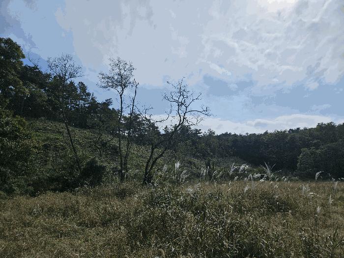 충청남도 당진시 용연동 산199 법원경매 물건 대표사진