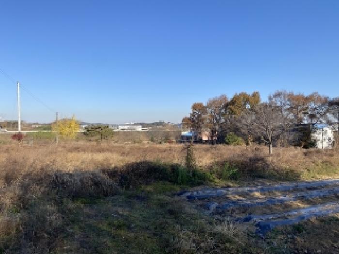 2025타경886 법원경매 사진3 | 충남 당진시 임야 경매