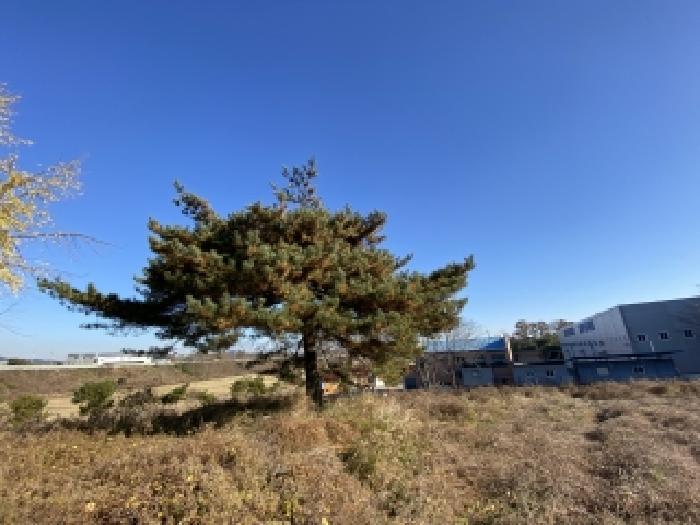 2025타경886 법원경매 사진6 | 충남 당진시 임야 경매