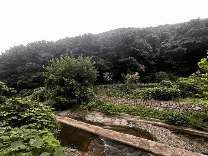 광주광역시 동구 운림동 419-1 법원경매 물건 대표사진