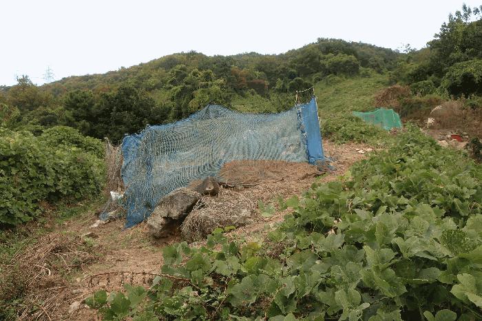 법원경매 2025타경102091 사진2 | 부산 강서구 녹산동 967 전 경매
