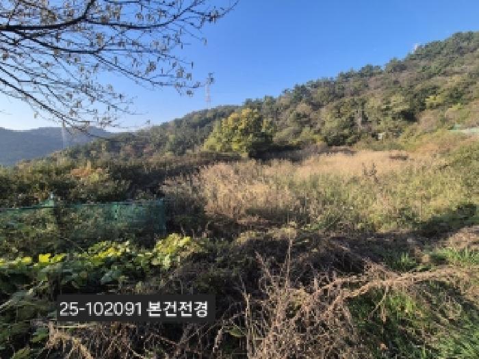 법원경매 2025타경102091 사진5 | 부산 강서구 녹산동 967 전 경매