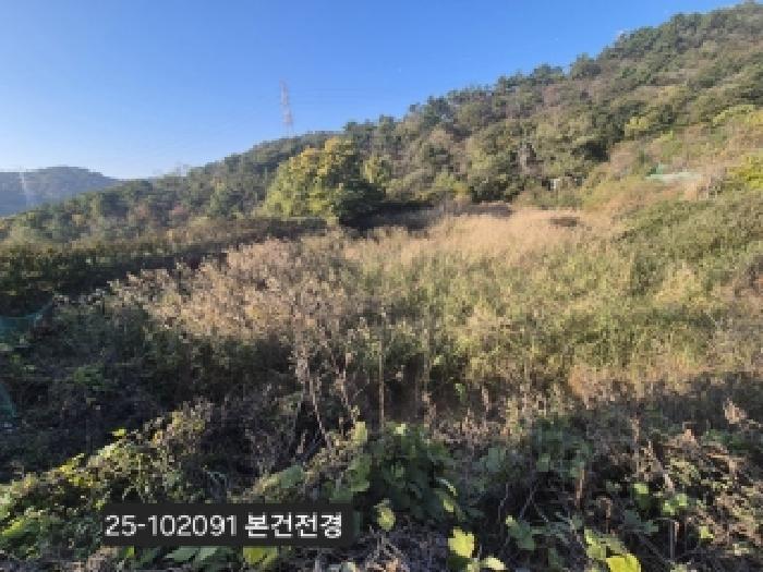 법원경매 2025타경102091 사진6 | 부산 강서구 녹산동 967 전 경매