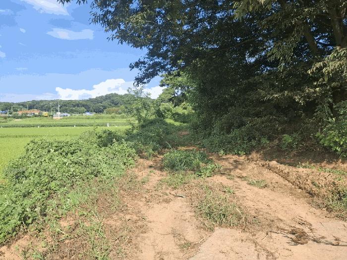충청남도 당진시 순성면 나산리 111-2 법원경매 물건 대표사진
