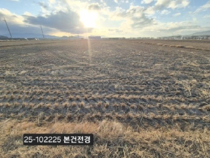 법원경매 2025타경102225 사진3 | 부산 강서구 죽동동 501-2 답 경매