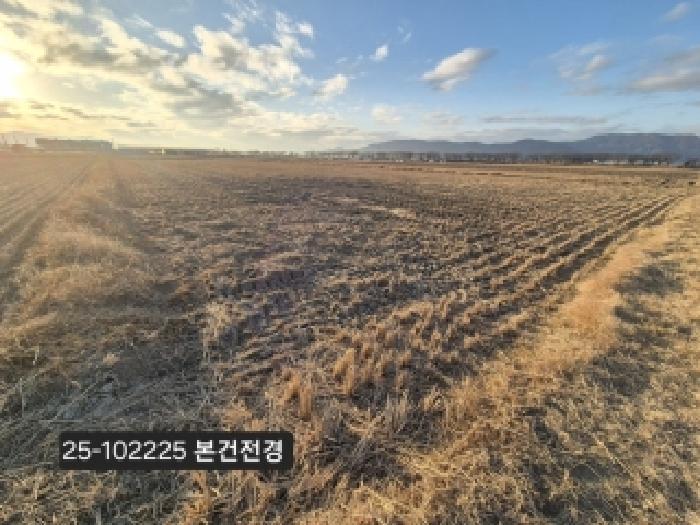 법원경매 2025타경102225 사진4 | 부산 강서구 죽동동 501-2 답 경매