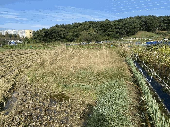 2025타경34109 법원경매 사진4 | 광주 북구 대지,임야,전답 경매