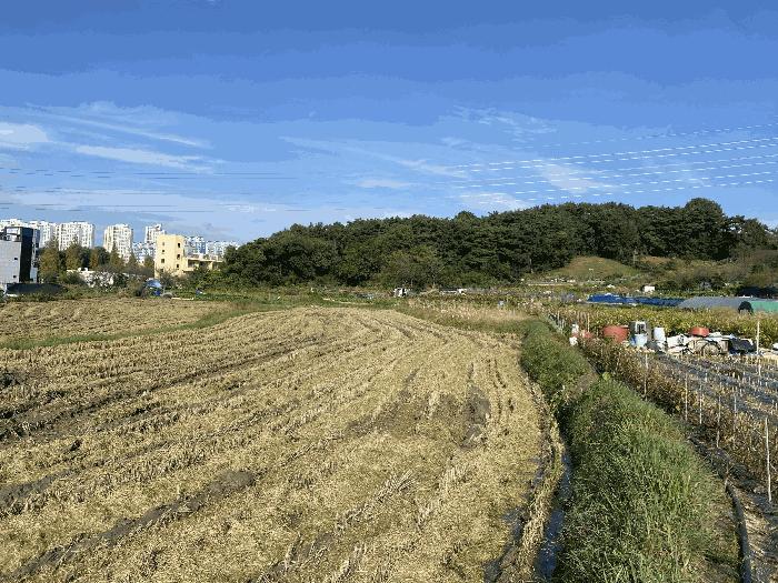 2025타경34109 법원경매 사진7 | 광주 북구 대지,임야,전답 경매
