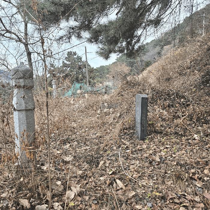 법원경매 2025타경102239 사진7 | 부산 사하구 당리동 33-12 임야 경매