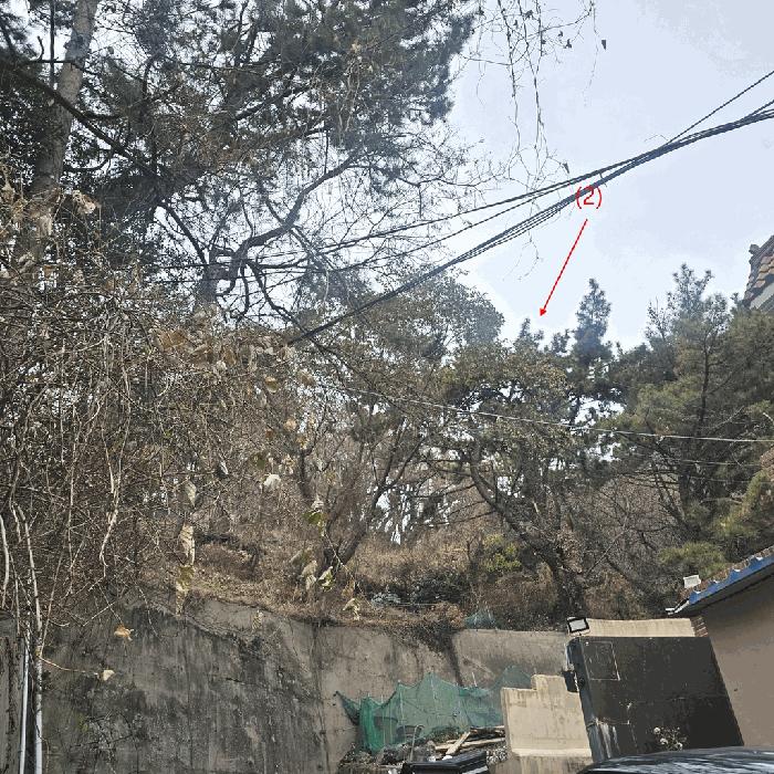법원경매 2025타경102239 사진5 | 부산 사하구 당리동 임야 경매