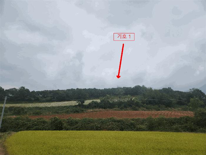 2025타경51804 법원경매 사진3 | 충남 당진시 임야 경매
