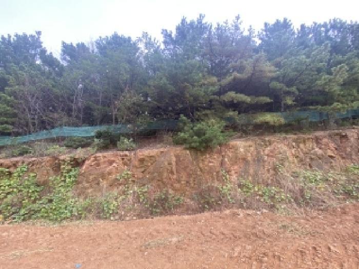 2025타경51804 법원경매 사진7 | 충남 당진시 임야 경매
