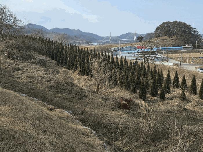 2025타경34710 법원경매 사진2 | 전남 영광군 전 경매