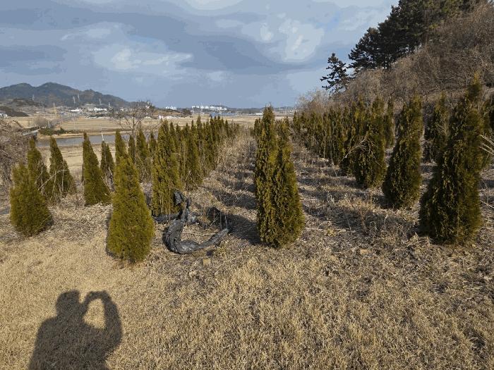 2025타경34710 법원경매 사진4 | 전남 영광군 전 경매