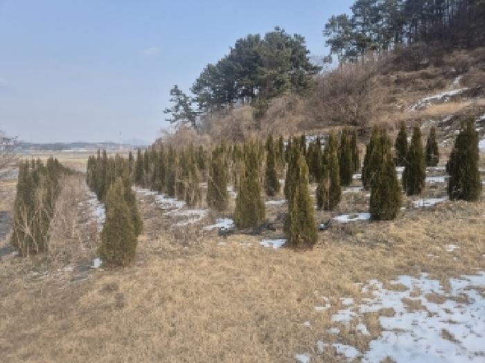 2025타경34710 법원경매 사진7 | 전남 영광군 전 경매