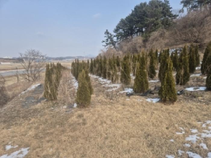 2025타경34710 법원경매 사진9 | 전남 영광군 전 경매