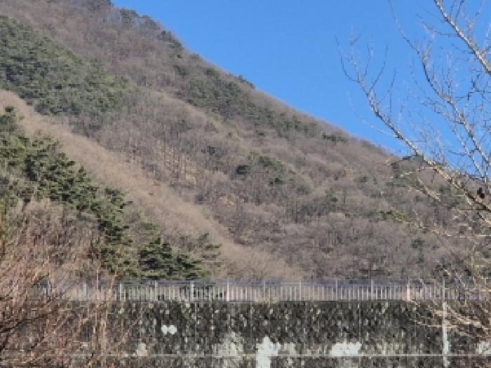 법원경매 2025타경34723 사진3 | 광주 동구 용연동 임야 경매
