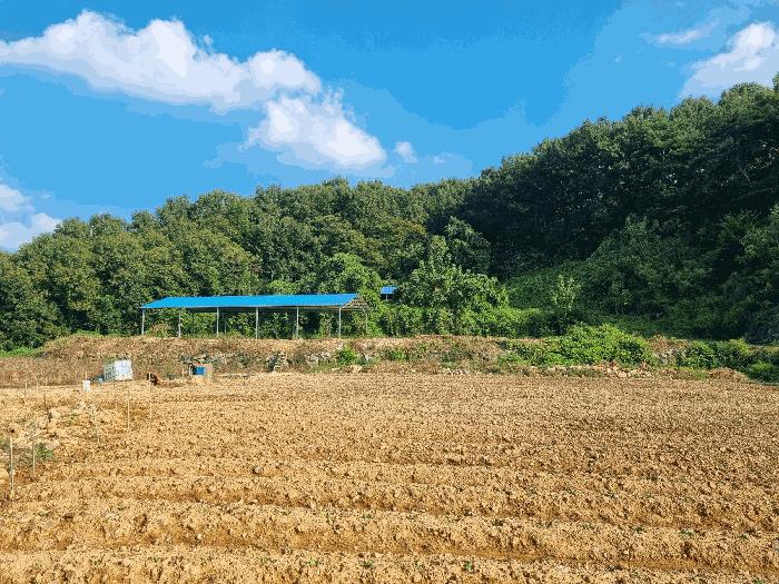 2025타경33332 법원경매 사진2 | 전남 화순군 전 경매