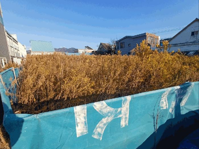 부산광역시 강서구 대저2동 2637-1 법원경매 물건 대표사진