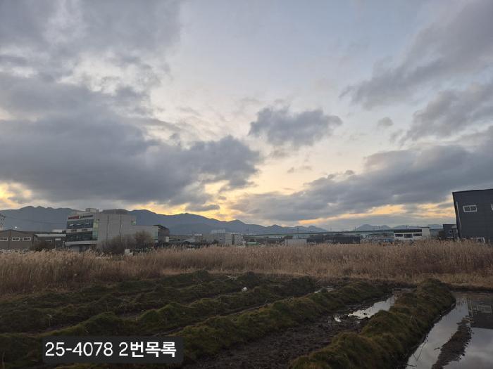 법원경매 2025타경4078 사진11 | 부산 강서구 대저2동 2637-1 대지 경매