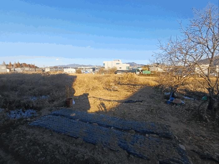 법원경매 2025타경4078 사진5 | 부산 강서구 대저2동 2637-1 대지 경매