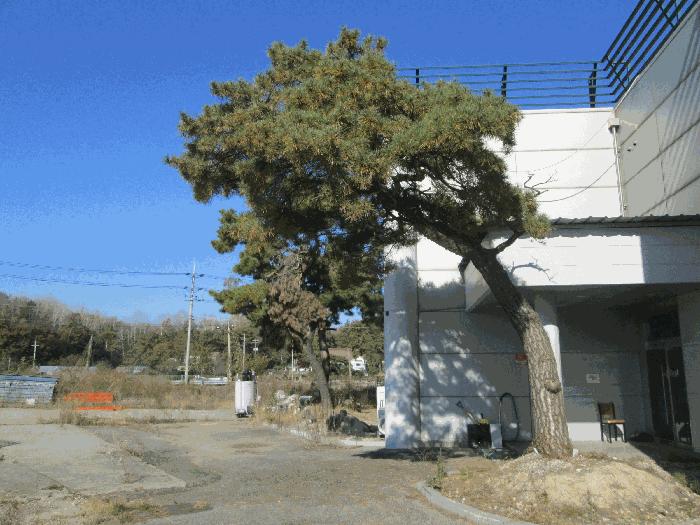 2024타경2307 법원경매 사진8 | 경기 여주시 공장 경매
