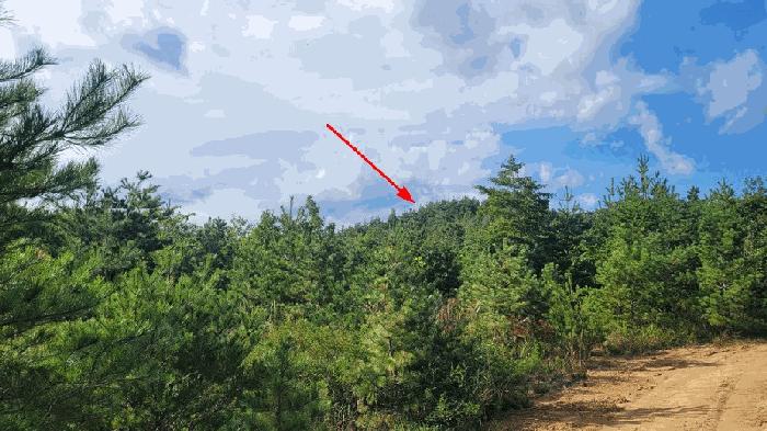 강원특별자치도 고성군 죽왕면 야촌리 산68 법원경매 물건 대표사진