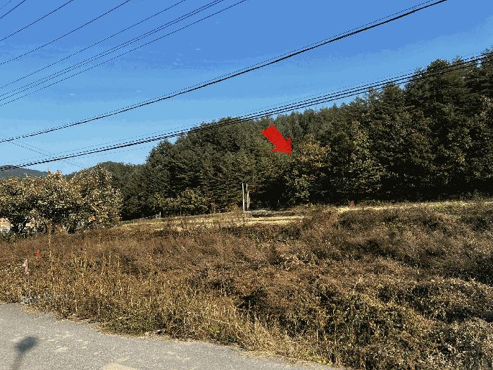 강원특별자치도 양양군 현북면 어성전리 179 법원경매 물건 대표사진